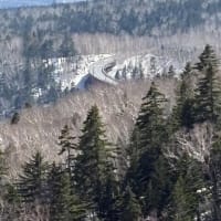 居ながら旅を楽しむ