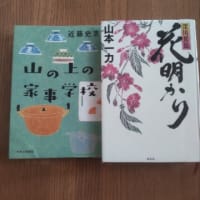 宇宙アサガオ発芽