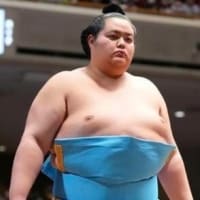 ワンニャンサンス