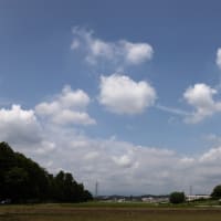 8月7日（水）　トレーニング田んぼの空