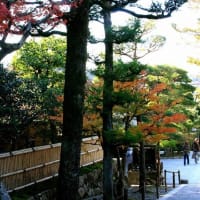 06/29奈良京都への旅-17（紅葉の銀閣寺）