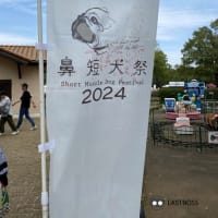 鼻短犬祭2024