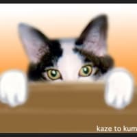 kaze to kumo clubオリジナル作品集- 2024-4/25