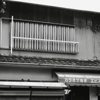 彷徨-和歌山県和歌山市：加太