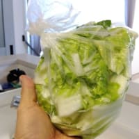 白菜のお漬物