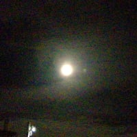 お彼岸の満月🌕