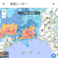 荒れてきたよ