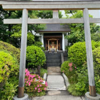 新宿　中村屋で観る食べる　伊勢丹屋上庭園を歩く　整形外科へ