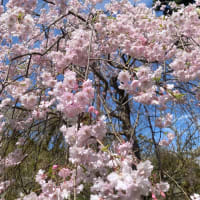 涙はかろうじてまつげの手前