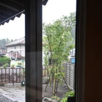 庭木を植えました