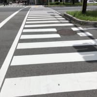 2025年6月17日(火) アスファルトの照り返しが異常に眩しく感じる皆様へ... 目に優しい良いサングラスがございます。