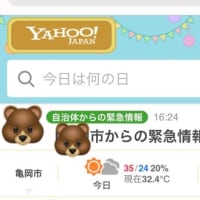 木彫りのクマのぬいぐるみ