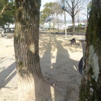 やっぱこれやらないとね