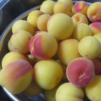 羽を伸ばして（その３）