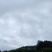 朝空