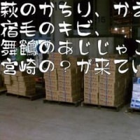 四国 高知 で ちりめん だしじゃこ うるめ販売の島田海産食品より中央卸売市場から