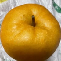 新高梨(にいたかなし)