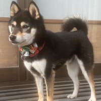 ひと足早く