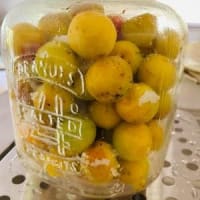 減塩梅干し梅酢漬け。その１。