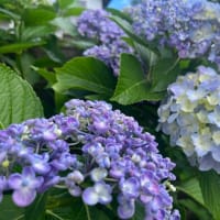 歯磨き⭐︎