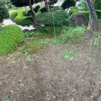 水引と吾亦紅と、草むしり…