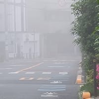 霞んだ先に