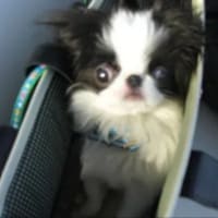 引っ越し完了♪お世話になりました