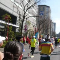 2025東京マラソン大会　参加完走してきました。