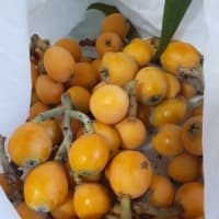 個人鑑定のお客様にびわ。