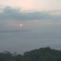いい朝霧の海