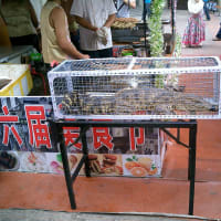 大連　　天津街のグルメ祭り