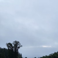 朝空