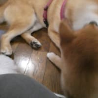 サービス向上のため　録音させていただきます事をご了承ください☆