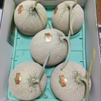 ＪＡ新すながわさんから