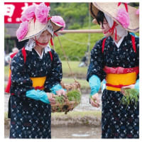 フォトMOMO支部６月度例会報告