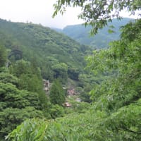 イソツネ山（多摩百８５）撤退