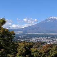 「「アルツハイマー治療...」