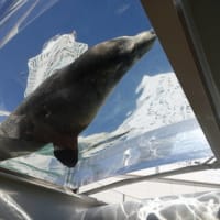 サンシャイン水族館