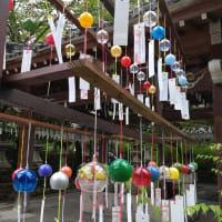 京都ロングステイ⑤