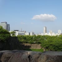 06/13お城めぐり-22：（大阪城）