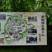 寄り道
