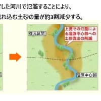 釧路湿原のカヌー下りと自然再生