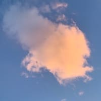 ＥＳＳで構成されたＷＩＦＩネットワークがテクノロジー犯罪の証拠だ