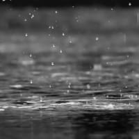 空からの贈り物「雨水」で受ける恩恵