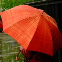  緑の街に雨が降る