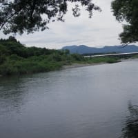 6月末の解禁日前に23日と25日に北越三面川の河川状態川見ですよー❕何とか期待したいねー❕❓