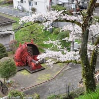 駒橋の桜とJR車両～大月市