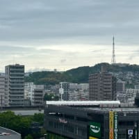 2025年5月12日(月) 朝から筍と格闘…そして堪能😁