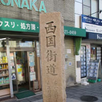 西国街道歩き（向日町→東寺＝起点・終点　約６km）完了
