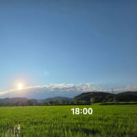 ６月26日木曜日☂️☂️